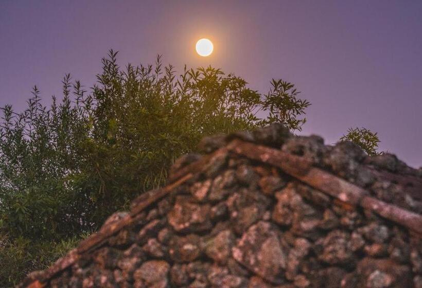 Дом 1 Спальня, Quinta Do Martelo