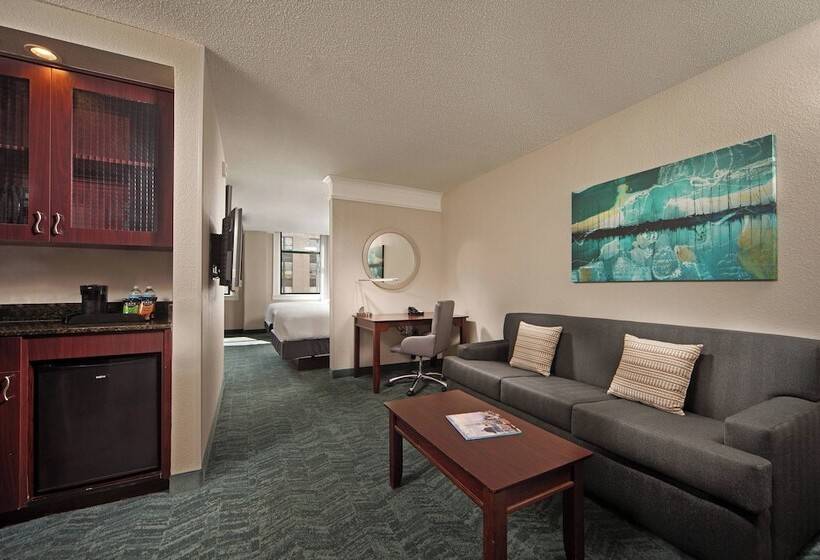 スイート, Springhill Suites By Marriott Baltimore Downtown/inner Harbor
