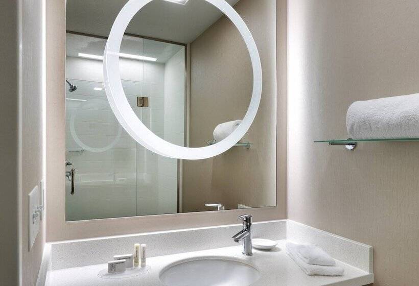 Студия Стандарт, Springhill Suites By Marriott Provo