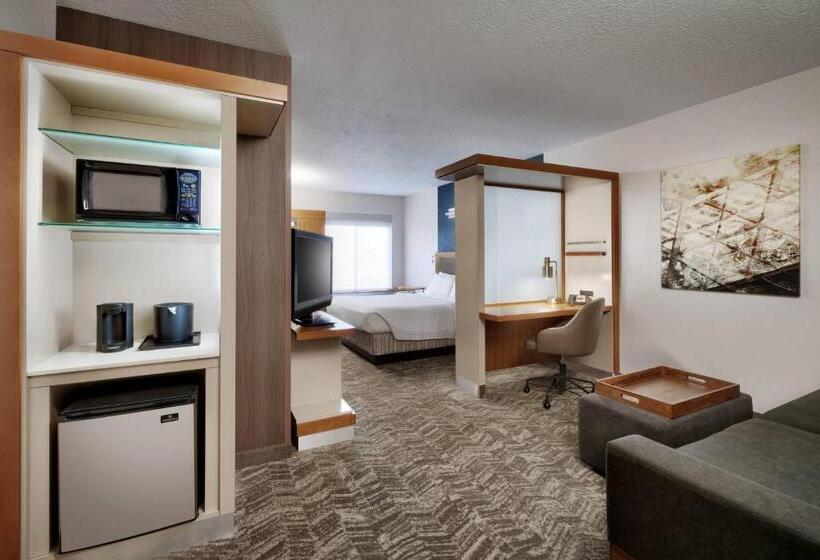 Студио Стандарт Кровать Кинг, Springhill Suites By Marriott Provo