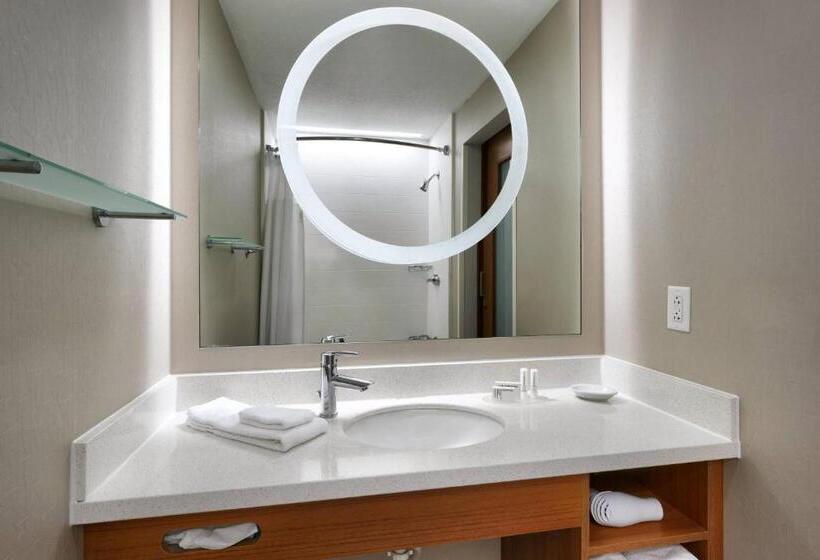 Студия Стандарт, Springhill Suites By Marriott Provo