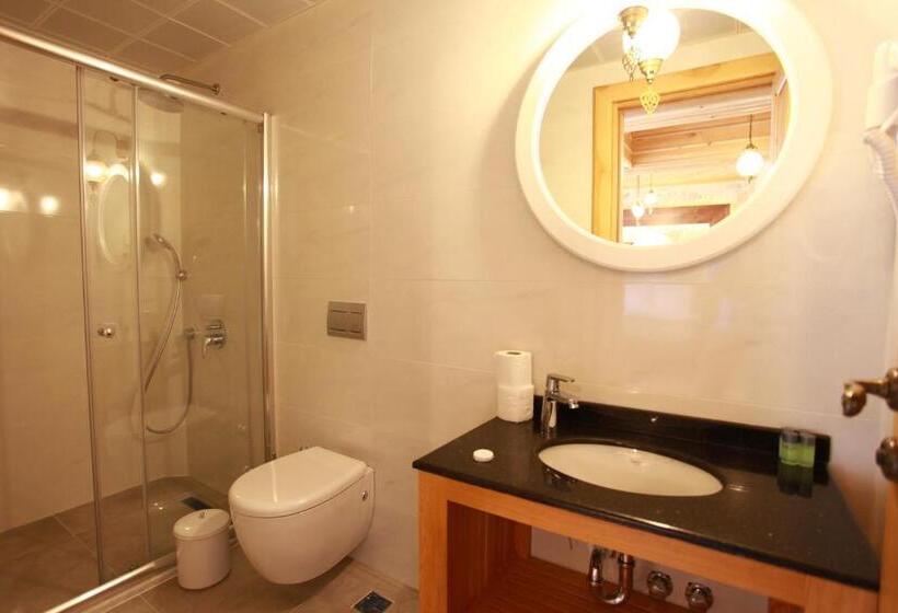 اتاق سوپریور, Bacchus Pension