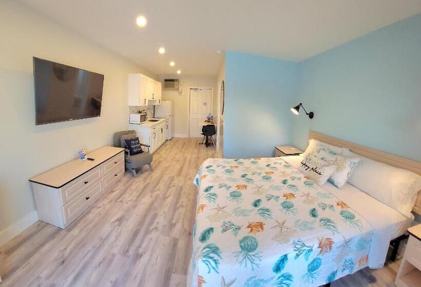 اتاق استاندارد با تخت بزرگ, Satellite Motel