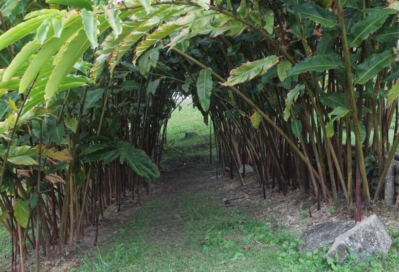 Cameră Familiar cu Baie în Comun, Hospedaje Pance Arí Munani Reserva Natural