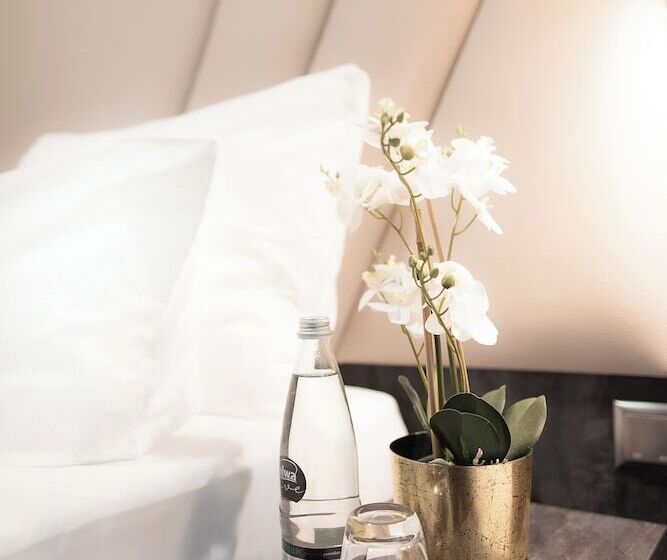 Номер Премиум, Plaza Premium Heidelberg