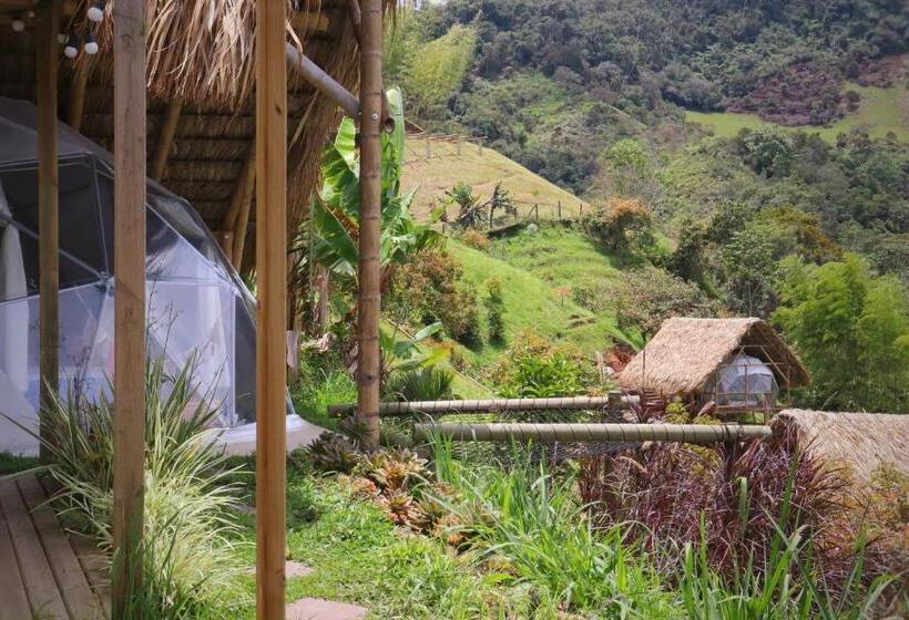 수피리어 룸, Finca Y Glamping Grinta