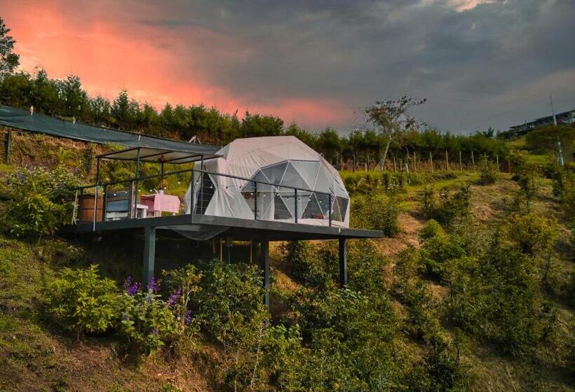 디럭스 룸, Finca Y Glamping Grinta