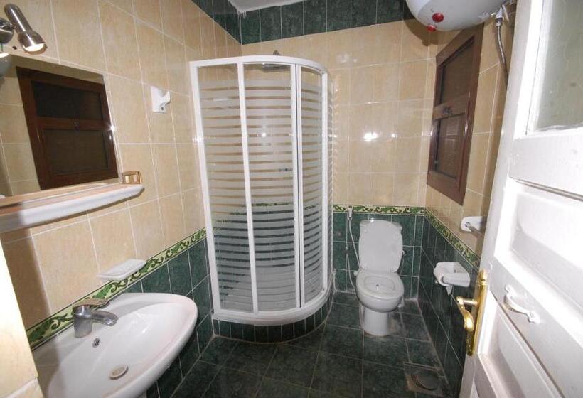 اتاق استاندارد یک تخته با چشم‌انداز, Pyramids View Inn