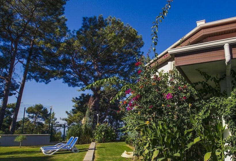 シングルデラックスルーム, Garcia Resort & Spa  Ultra All Inclusive