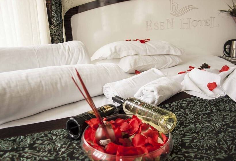 اتاق استاندارد یک نفره, Sirkeci Esen Apart