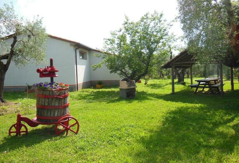 Апартаменты 1 Спальня, Agriturismo Sughericcio