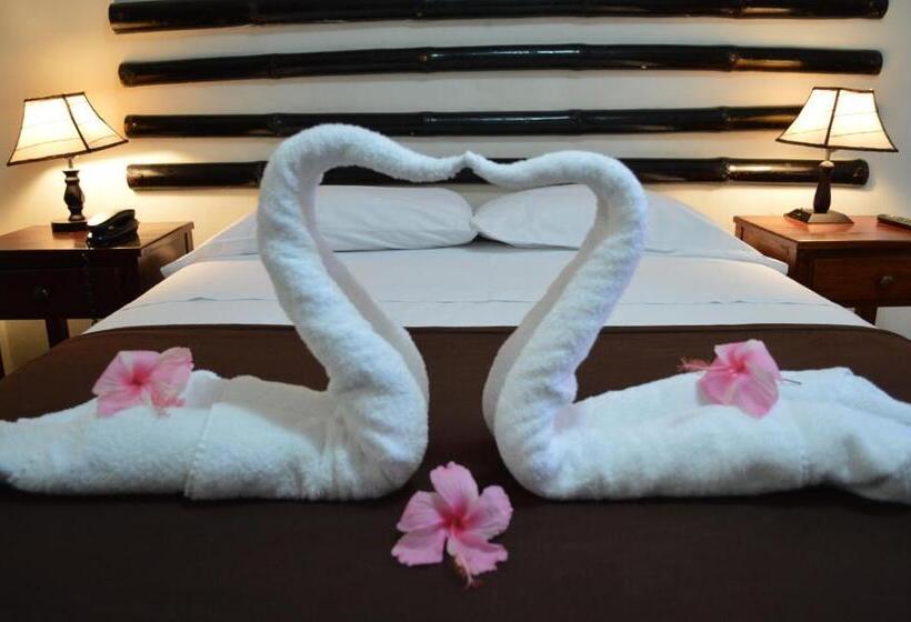 스탠다드 룸, Chanchamayo Inn