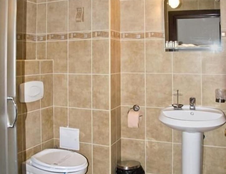 Standard Room, Hanul Domnesc