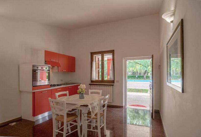 Апартаменты 1 Спальня, Agriturismo Oasi Torre Del Colle