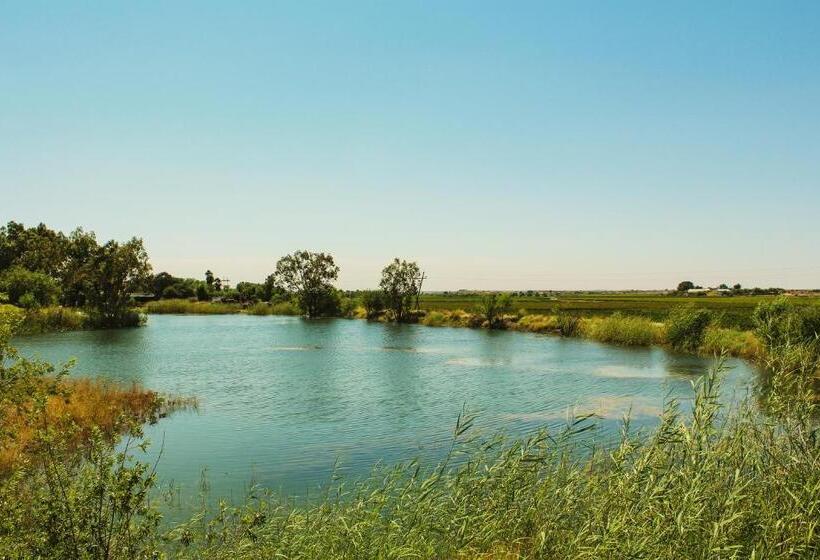 Шале 1 Спальня, Bezalel Wine & Brandy Estate