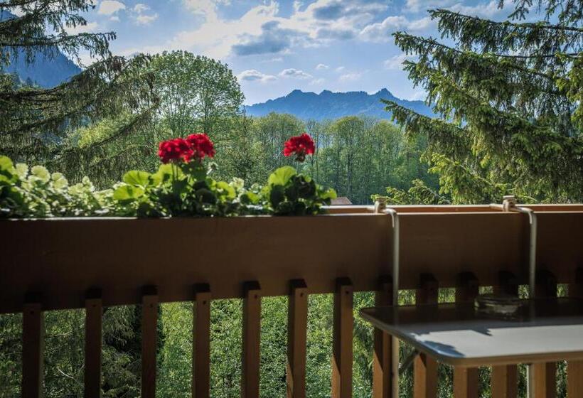 Номер Стандарт с Балконом, Alphotel Ettal