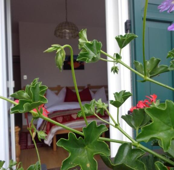 Quarto Estandar com Sacada, Garni Suisse