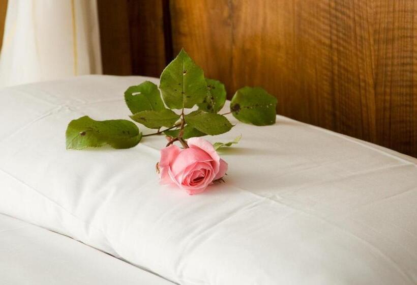 스탠다드 룸, Rosa Resort
