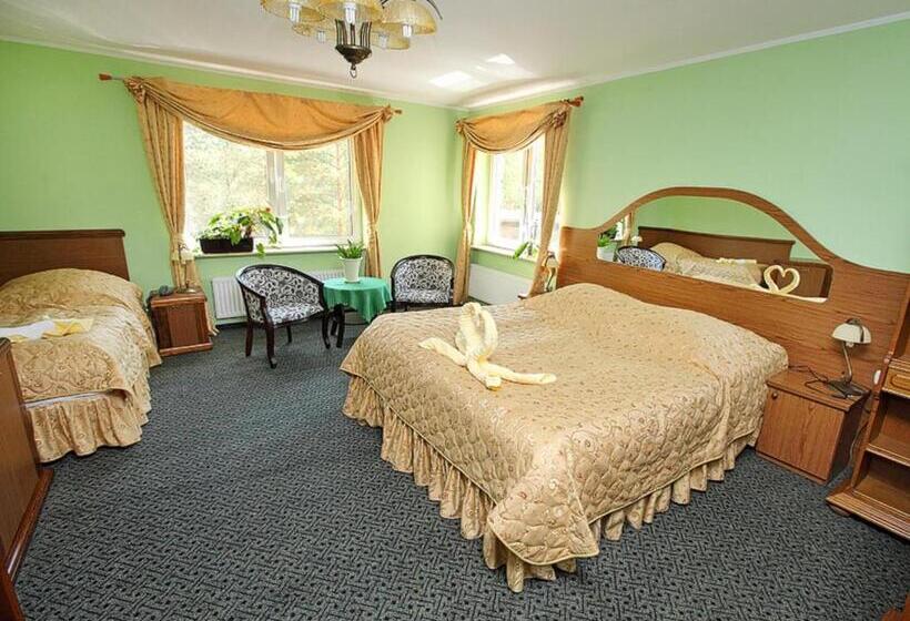 Номер Стандарт с Гидромассажем, Best Inn
