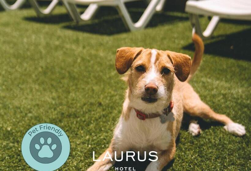 Номер Стандарт, Laurus