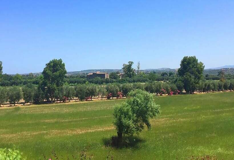 اتاق استاندارد چهار تخته, Resort Park Village