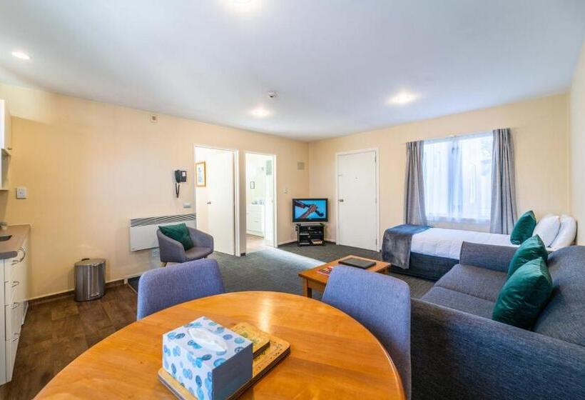 Апартаменты 1 Спальня, City Centre Motel
