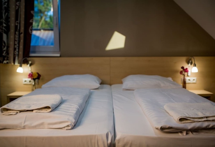 Номер Стандарт, Vineyard Inn   Szőlőskert