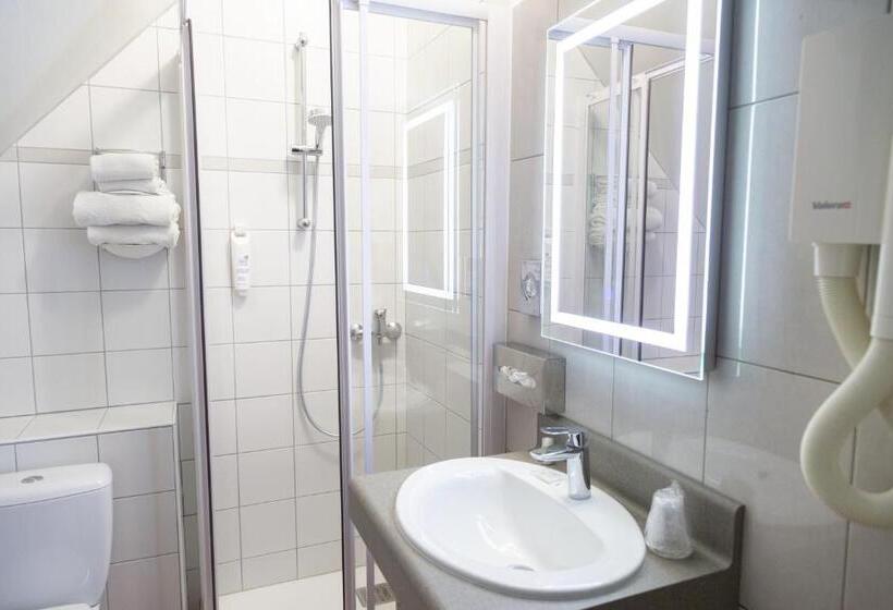 Номер Basic, Logis Hôtel Restaurant Chaptal, Amboise