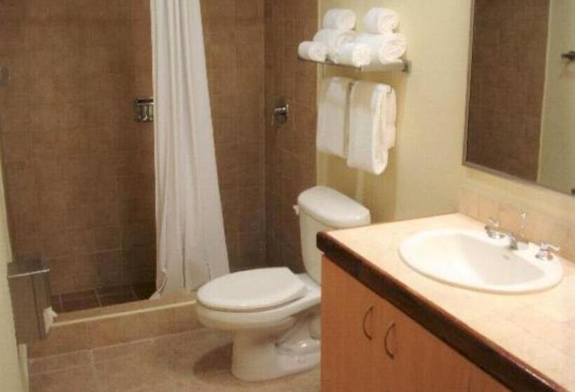 اتاق استاندارد با چشم‌انداز استخر, Comfort Inn & Suites