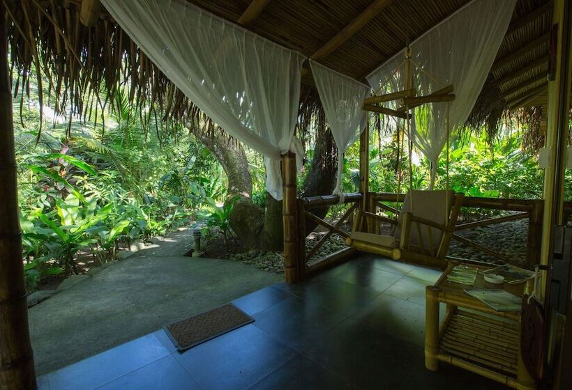 Quarto Deluxe, Clandestino Beach