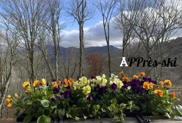 Апартаменты 1 Спальня с Видом, Appresski   5 Bed Ski In Ski Out   50 Steps To Ski Sugar Mountain Slopes