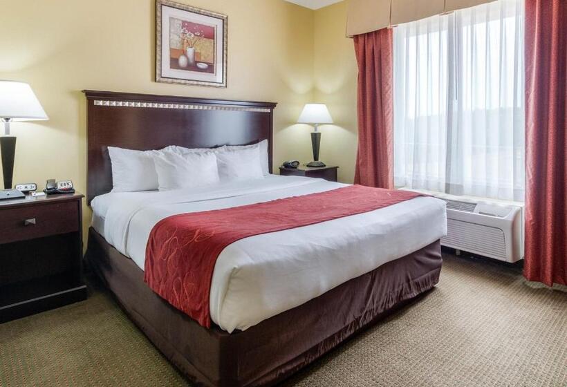 Люкс Кровать Кинг, Comfort Suites