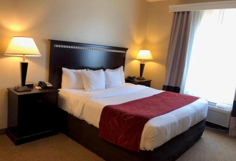 Suíte Cama King, Comfort Suites