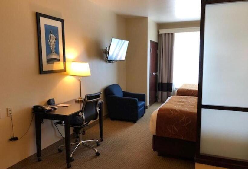 Люкс, Comfort Suites
