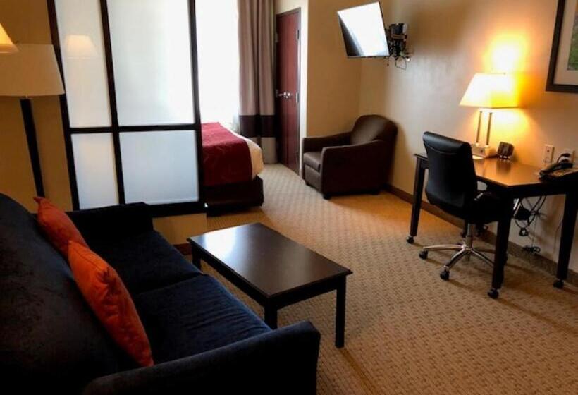 Номер Стандарт, Comfort Suites