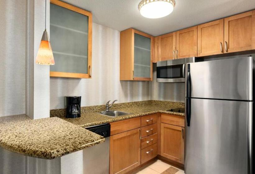Standard Studio King Bed, Residence Inn Chattanooga Near Hamilton Place