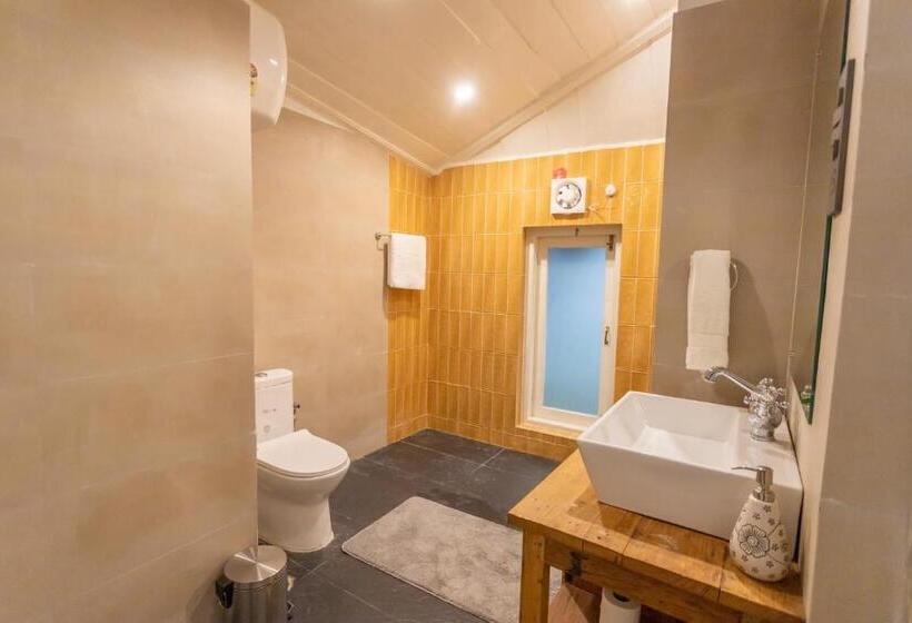 Номер Стандарт, Seclude Shimla, Taraview