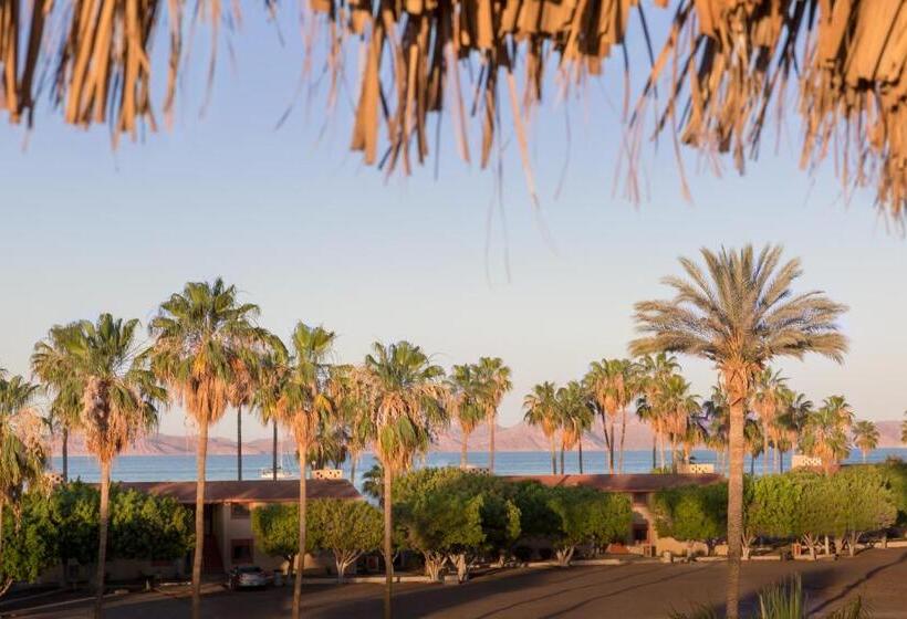 ペントハウスルーム, Loreto Playa Boutique