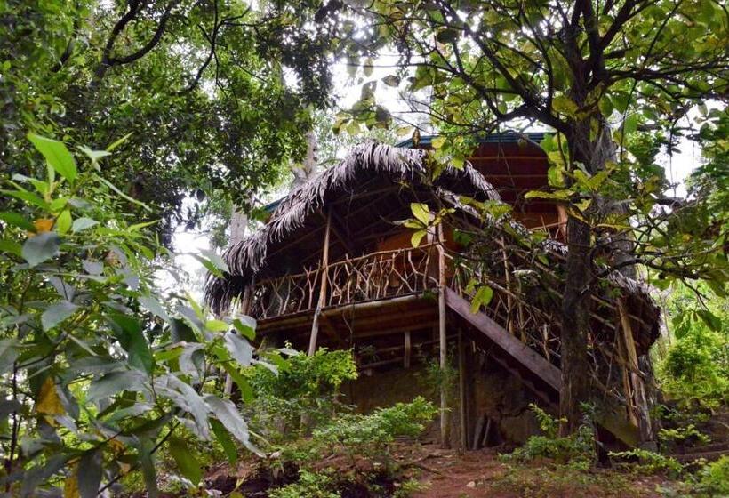 کلبه ییلاقی سوپریور یک خوابه, Eco Village
