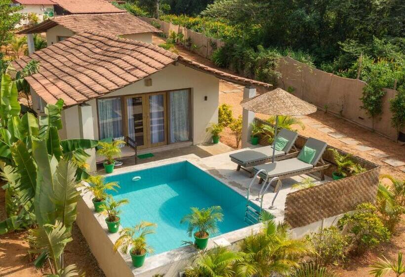 Стандартный Номер Кровать Кинг, Green Leaf Resort Goa