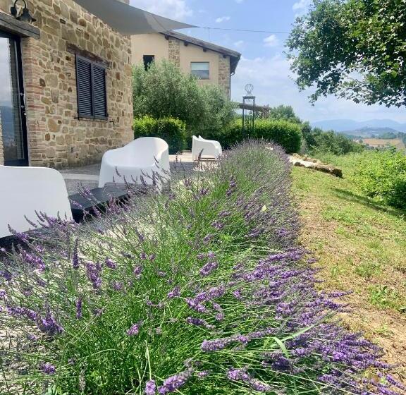 آپارتمان لوکس 1 خوابه, Borgo Crispiero