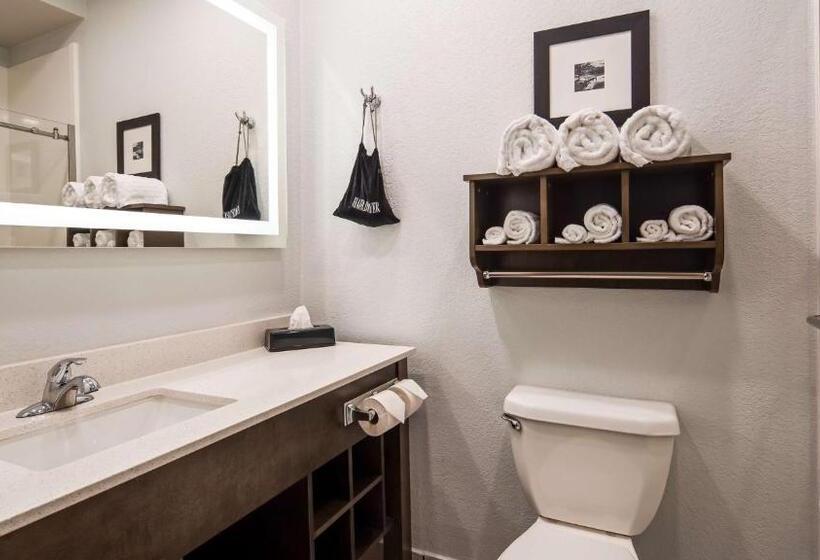 Люкс Кровать Кинг, Best Western Atoka Inn & Suites
