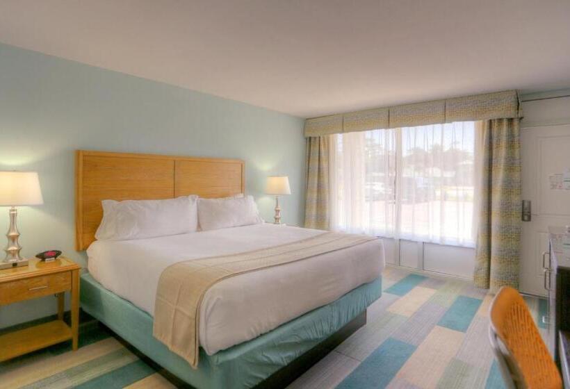 스탠다드 룸 킹사이즈 침대, Holiday Inn Resort Jekyll Island, An Ihg