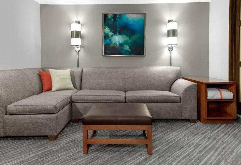 스탠다드 룸 더블 침대 2개, Hyatt Place Lakeland Center