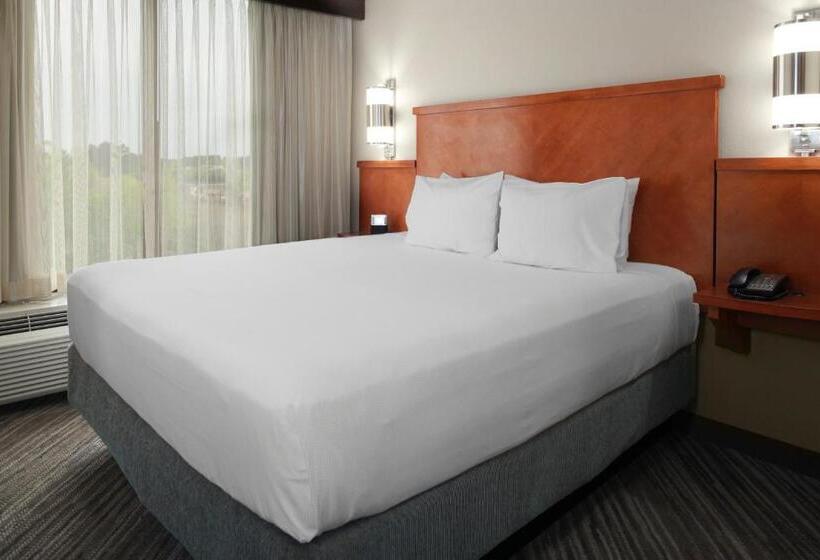 스탠다드 룸 더블 침대 2개, Hyatt Place Lakeland Center