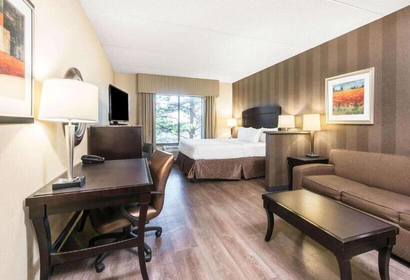 스탠다드 스튜디오 킹침대, La Quinta Inn & Suites Bel Air