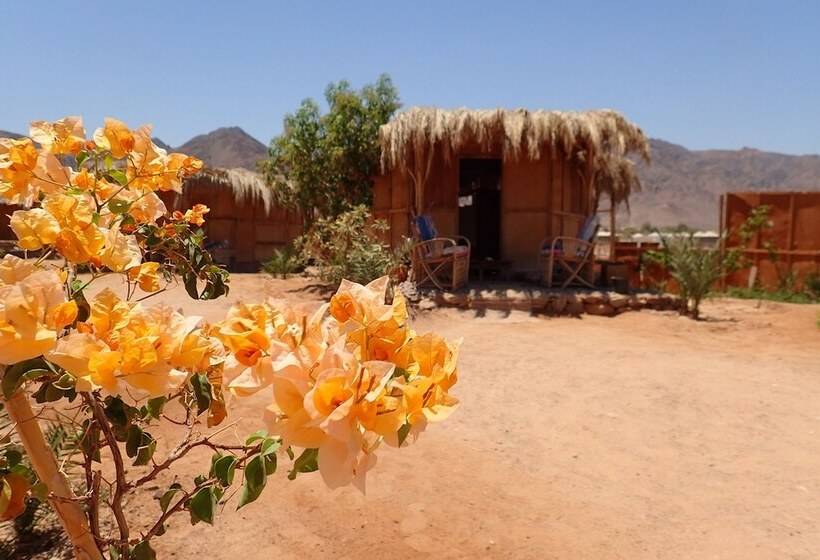 بانگلوی لوکس, Bedouin Star