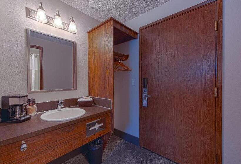 Номер Deluxe Кровать Кинг, Silver Inn