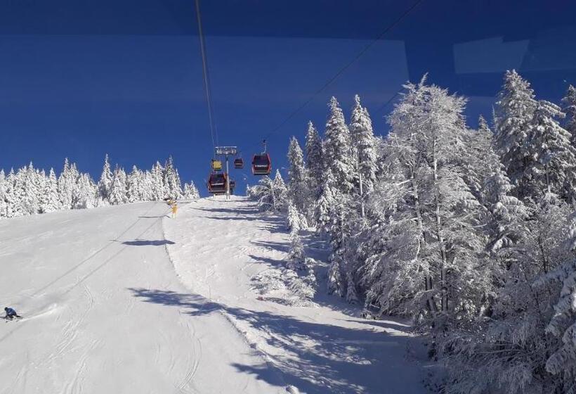 Апартаменты 1 Спальня, Ferienwohnungen Veit