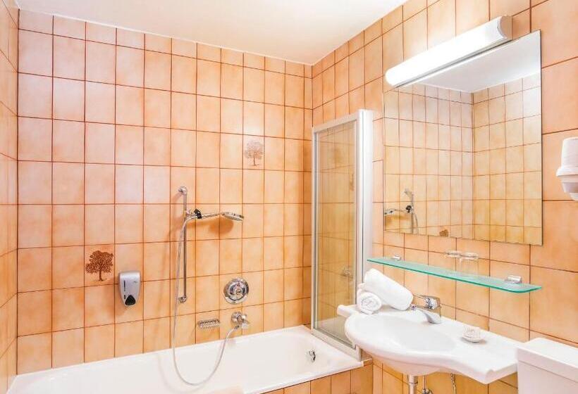 Трехместный Номер Стандарт с Балконом, Sporthotel Pechtl